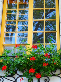 Potted plants on the wall