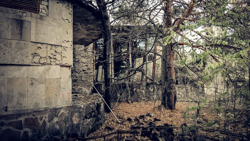 Plants growing on old abandoned building