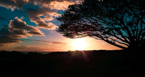 Silhouette trees against sky during sunset