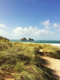 Scenic view of beach against blue sky