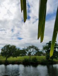 Scenic view of lake against cloudy sky