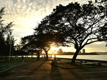 View of trees at sunset