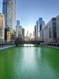 Chicago river dyed green for st patricks day 