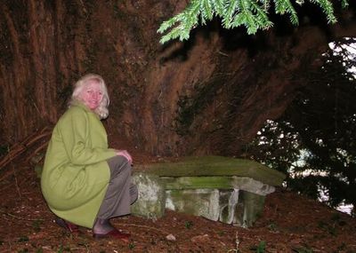 Woman standing on tree trunk