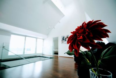 Close-up of red flower vase on table at home