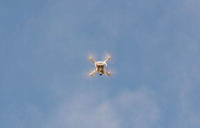 Low angle view of seagull flying against blue sky