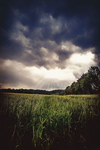 Scenic view of field against cloudy sky