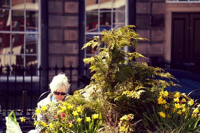 Flowers growing on potted plant