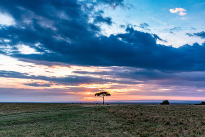 Scenic view of field against sky during sunset