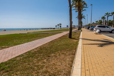 Road by palm trees against sky