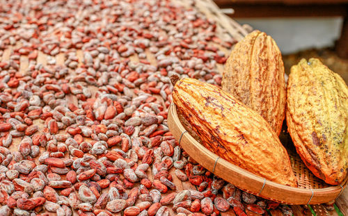 Close-up of food