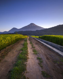 Empty road amidst field against clear sky