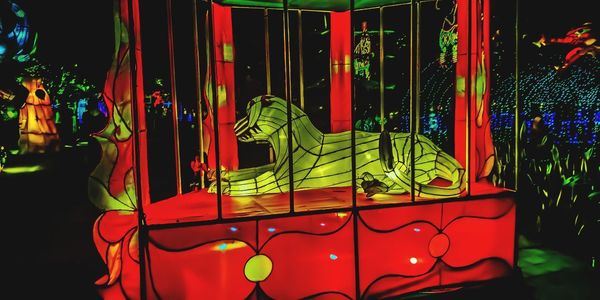 Illuminated carousel in amusement park at night