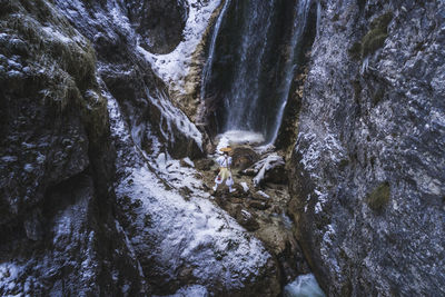 Scenic view of waterfall in forest