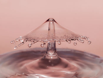 Close-up of splash crown against peach background