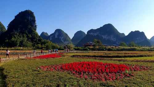 Scenic view of field by mountains against sky