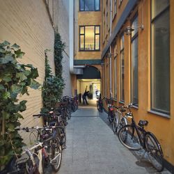 Cars parked in front of building