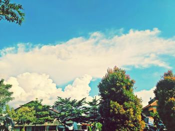 Low angle view of trees and building against sky