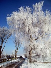 Snow covered landscape