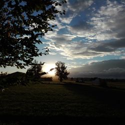 Trees on field against sky at sunset