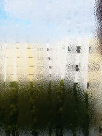 Raindrops on glass window