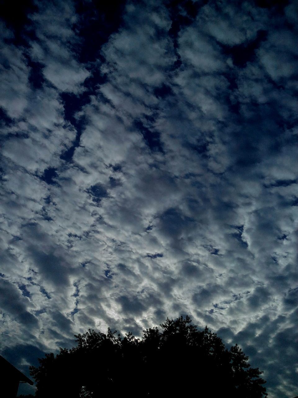 low angle view, sky, cloud - sky, silhouette, nature, beauty in nature, no people, scenics, outdoors, tree, astronomy, star - space, day