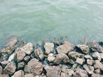 Close-up of rocks in sea