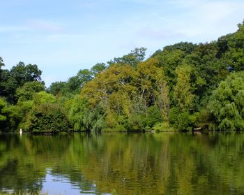 Scenic view of lake in forest against sky