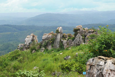 Stone garden