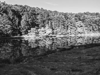 Scenic view of lake in forest against sky