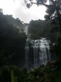 Scenic view of waterfall in forest