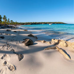 Scenic view of beach against clear blue sky