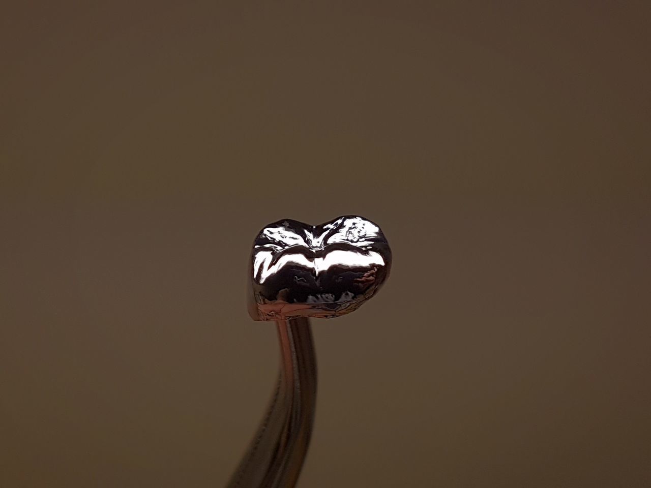 CLOSE-UP VIEW OF BUTTERFLY OVER WHITE BACKGROUND