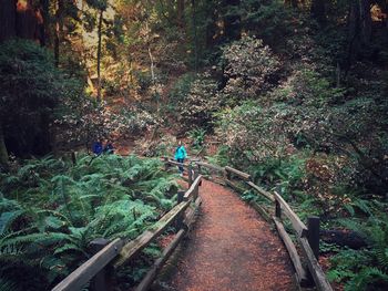 Woman standing on walkway at forest