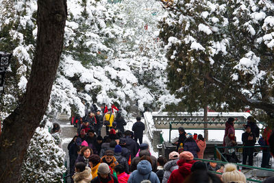 Group of people on snow covered tree