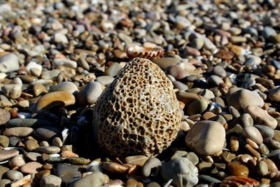 Close-up of stones on beach