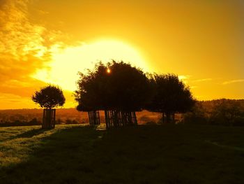 Silhouette trees on field against sky at sunset