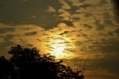 Low angle view of silhouette trees against dramatic sky