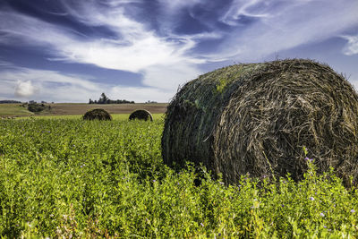 Bales of hay in green field under blue sky with clouds