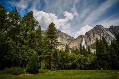 Panoramic view of pine trees and mountains against sky