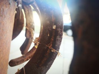 Close-up of rope tied to rusty metal