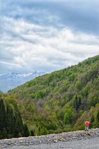 Rear view of trees on landscape against sky