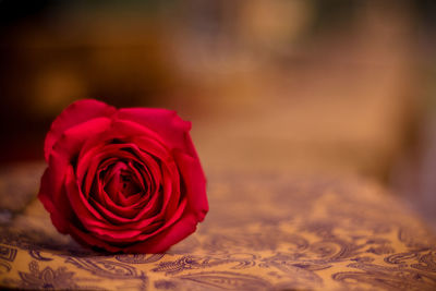 Close-up of red rose on table