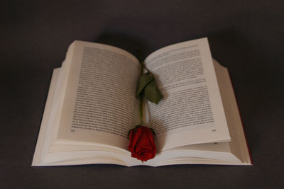 Close-up of red rose on book