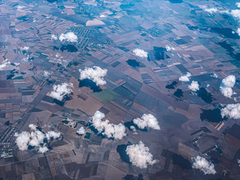 High angle view of agricultural field