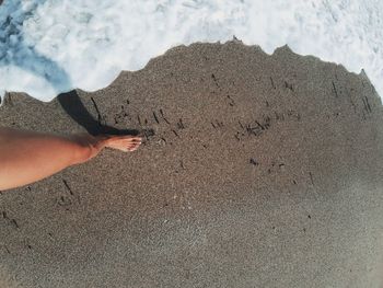 Low section of man standing on beach