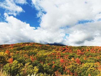 Scenic view of landscape against sky during autumn