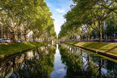 Reflection of trees in lake against sky
