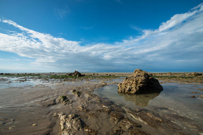 Scenic view of beach against blue sky