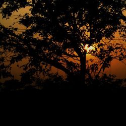 Silhouette of trees against sky at sunset